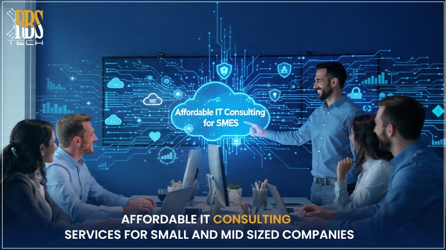 Affordable IT Consulting Services for Small and Mid-Sized Companies